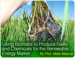 Using Biomass to Produce Fuels and Chemicals for the Renewable Energy Market