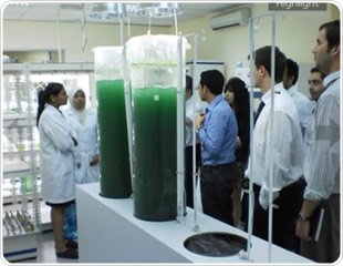 News: Algaetech Wins Green Excellence Award from Frost + Sullivan
