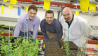 Among the Cleantech participants are (L to R) Haas School MBA students Dwight Crabtree and Adam Lorimer, who work with Blake Simmons, manager of the Energy Systems Department at Sandia National Laboratory and vice president of the Deconstruction Division of the Joint BioEnergy Institute