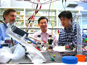 This photo shows Bruce E. Logan, Shaoan Cheng and Defeng Xing with a microbial cell that produces methane directly from electricity. Credit: Bruce Logan