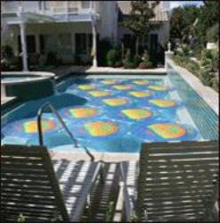 Solar Swimming Pool Heating Device