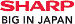 According to Sharp, the largest manufacturer of solar panels in Britain, the demand for solar panels is set to zoom by as much as ten times in the next two years.
