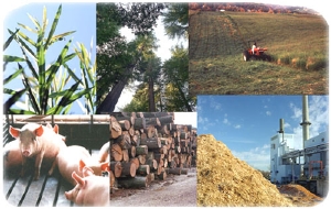 What is biomass fuel, and what it is used for?