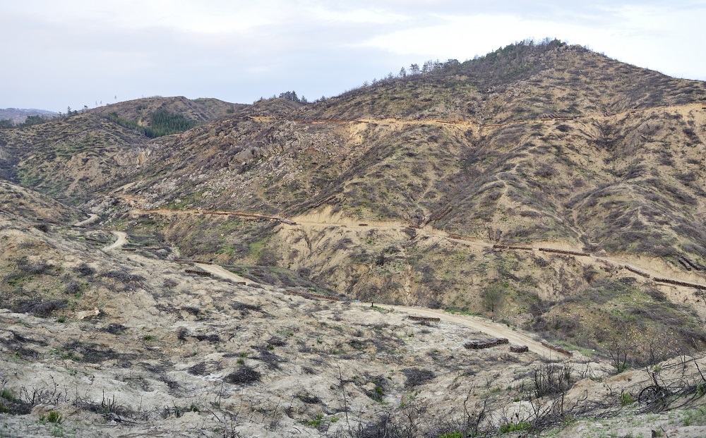 effects of deforestation on climate essay effects of deforestation on climate essay