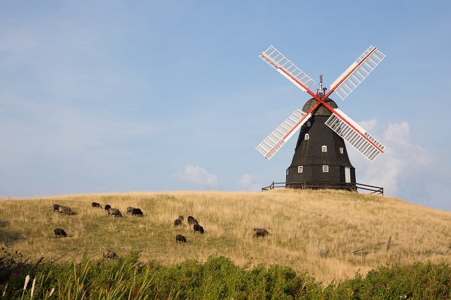 Denmark is known for its beautiful array of windmills and agriculture.