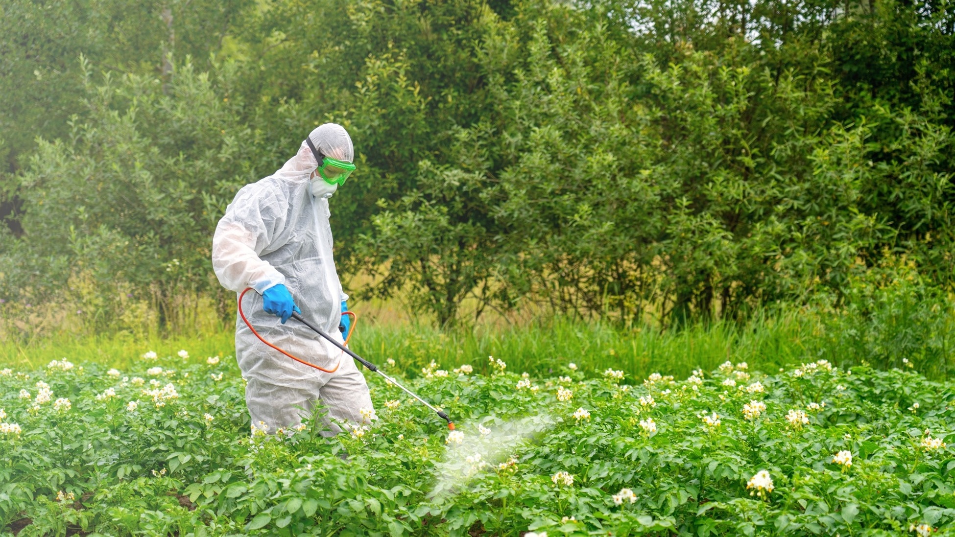 Study Finds Increase in Toxic Pesticides in Agriculture