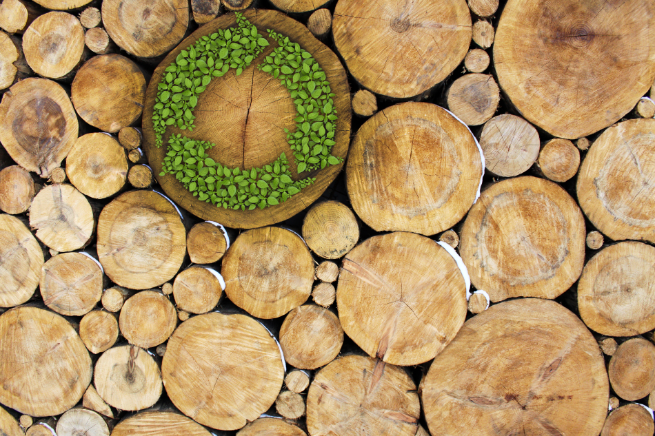 Stacked Logs with recycle symbol
