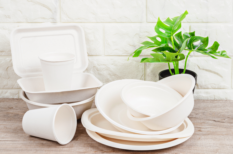 Biodegradable food packaging sitting on a table in front of a small potted plant
