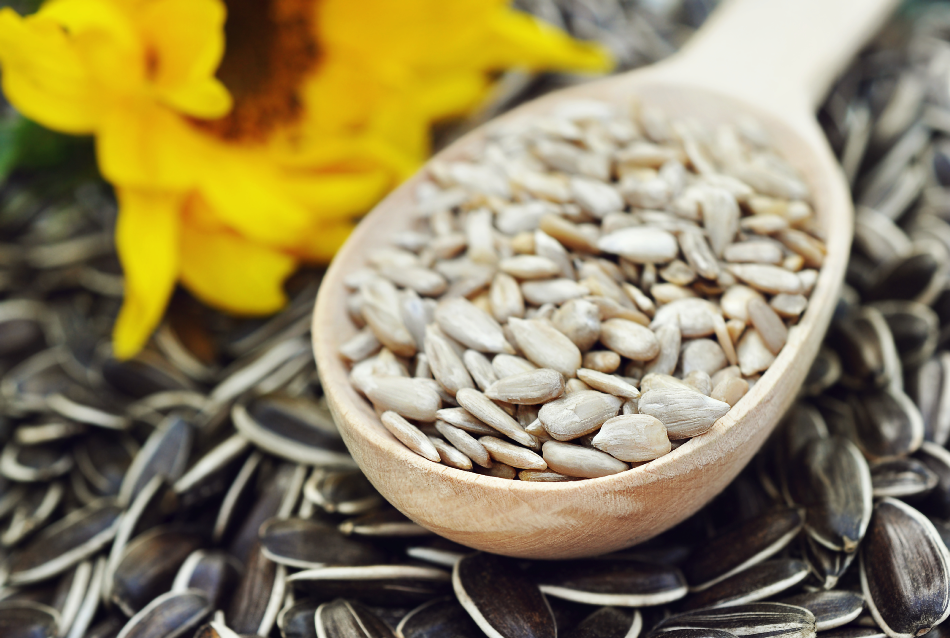 Spoon of dehulled kernels on sunflower seeds background, selective focus