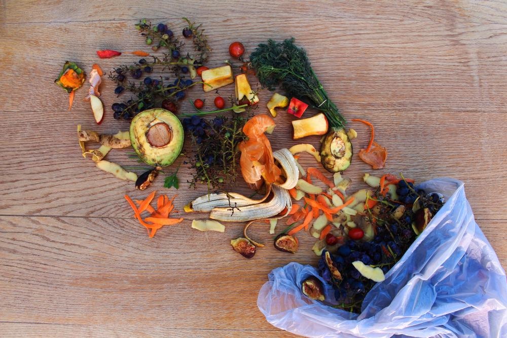 food waste, land fill