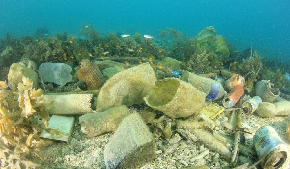ocean, plastic, river flux