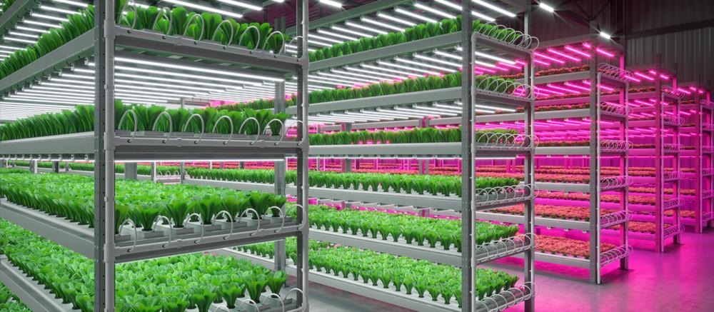 indoor farming, sustainable farming