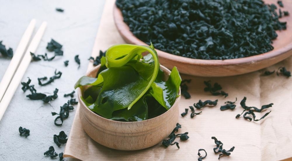 seaweed packaging