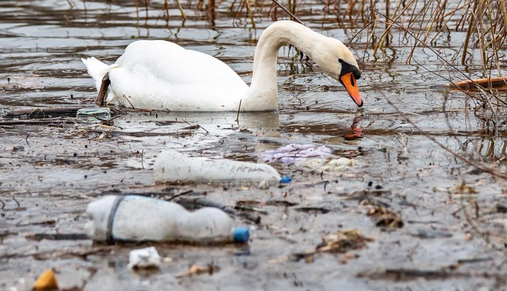 plastic, rivers, pollution, oceans