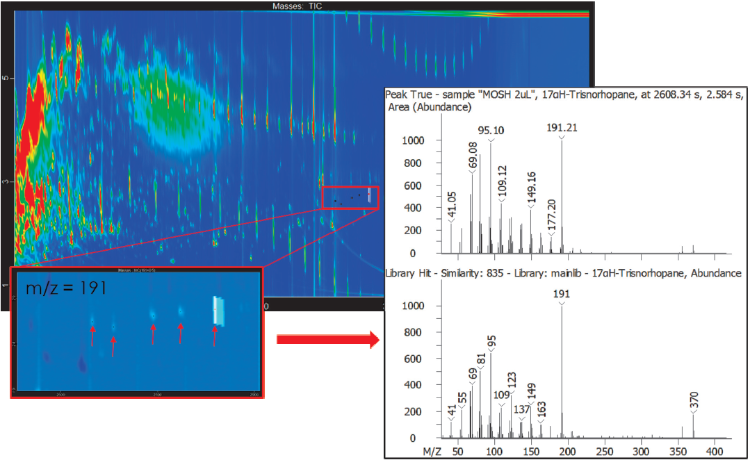 Hopanes detection in the cumin MOSH fraction (m/z 191.21).