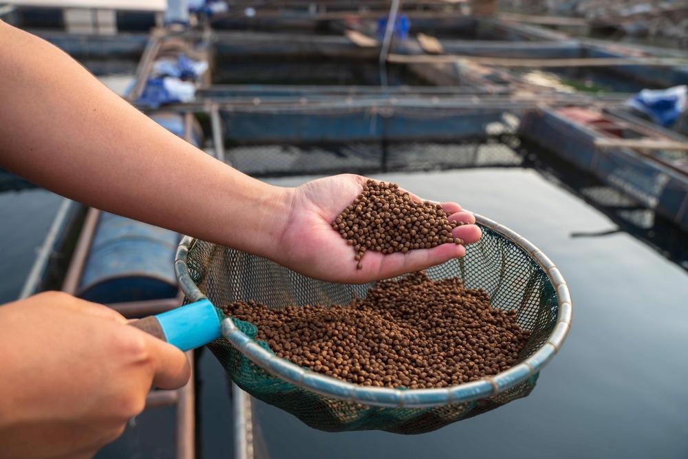 fish feed aquaculture farm