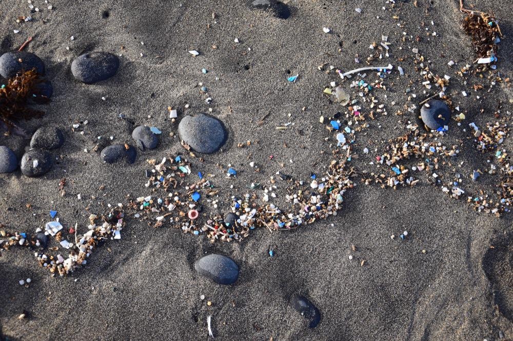 Microplastics, Pollution, Magnets, Marine Life