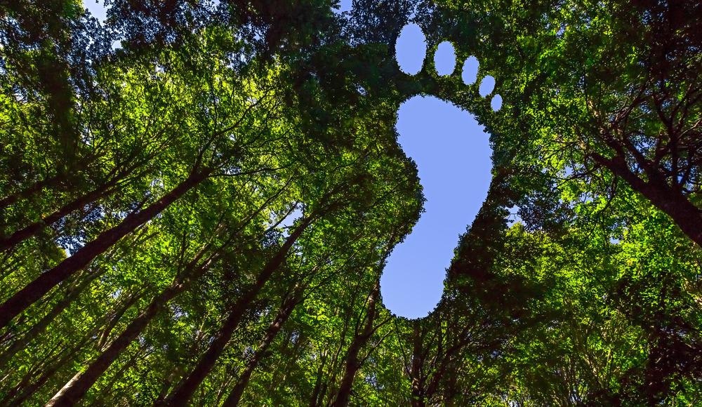 carbon footprint, carbon neutrality