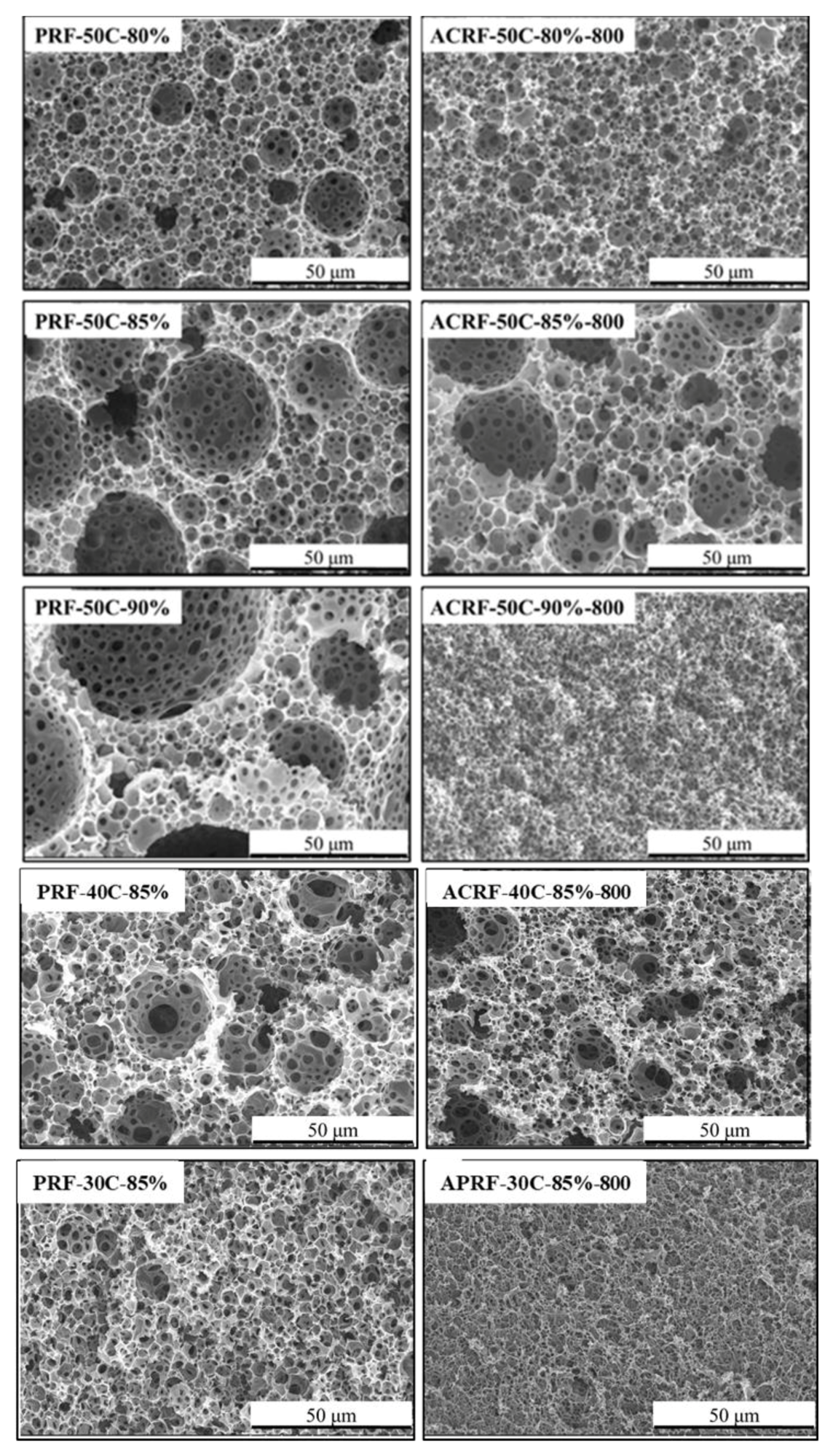 Scanning electron microscope (SEM) images of PRFs and corresponding ACRFs.