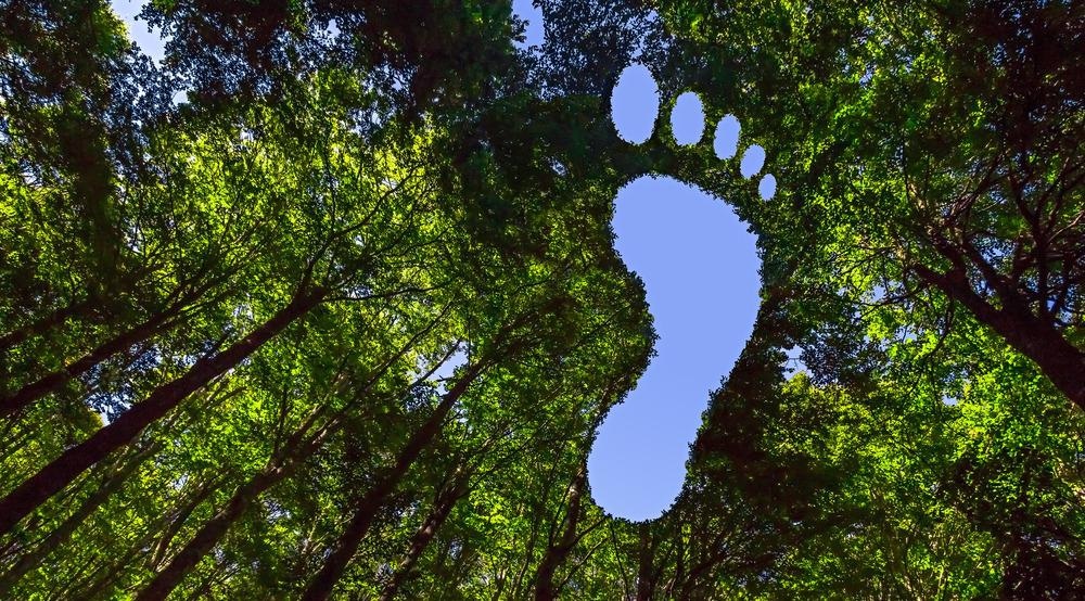 carbon footprint
