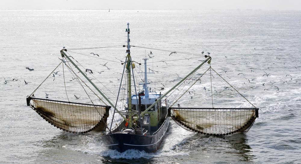 fishing boat, trawling
