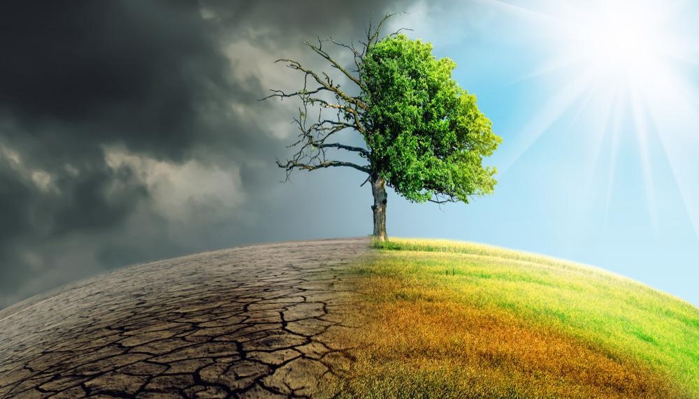 climate change