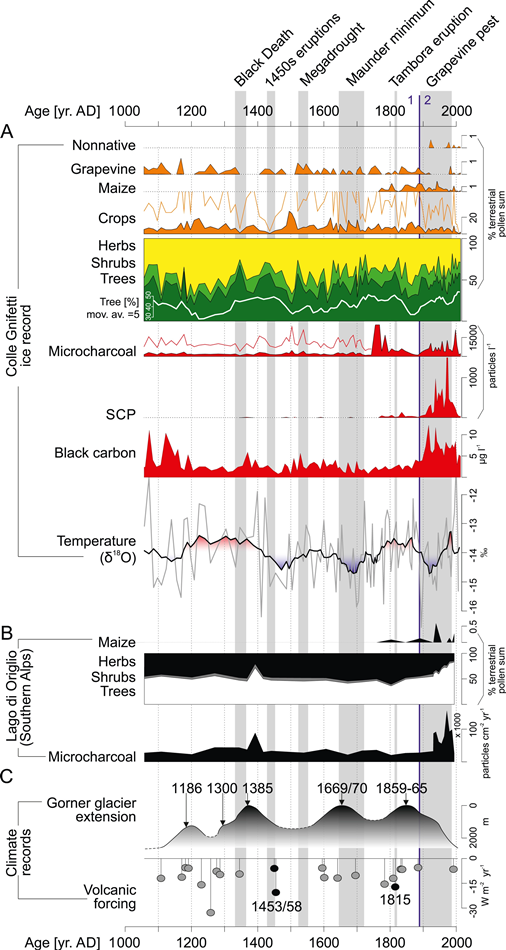 Comparison of the Colle Gnifetti glacier record (a) with independent data (b and c). (a) Colle Gnifetti record shows the sum of nonnative plants (Nothofagus, Pterocarya, Fallopia, Heliotropium), Vitis (grapevine), Zea mays (maize), the sum of crop, tree, shrub, and herb pollen as a proxy for vegetation and land use, microcharcoal concentrations for fire activity, spheroidal carbonaceous particles (SCP) for fossil fuel combustion, black carbon for nonspecific burning averaged to the microfossil resolution and oxygen isotopes (d18O) for temperature averaged to microfossil resolution (gray) and as a 9-point moving average (black line). 5X exaggeration for crops and 10X exaggeration before 1750 CE for microcharcoal (red). White curve in the pollen summary graph shows 5-point moving average for tree pollen percentages. (b) Vegetation and fire reconstruction from Lago di Origlio, south of the Alps (Tinner et al., 2005). (c) Gorner glacier advances (low values) and retreats (high values) ca. 5 km northwest from Colle Gnifetti (Holzhauser et al., 2005) and cumulative global volcanic aerosol forcing (Sigl et al., 2015). Gray boxes indicate palynological signals during the Black Death, volcanic eruptions 1453/1458 CE (1450s eruptions), “Megadrought,” Maunder minimum, Tambora eruption, and the grapevine pest Phylloxera. Blue vertical line delimits statistically significant local pollen assemblage zones (LPAZ 1 and 2). Vertical dashed lines delimit 200-year intervals