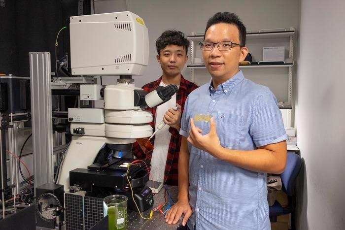 Using Droplets to Boost the Energy Efficiency of Artificial Photosynthesis.