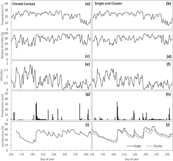 Microclimate in Baltimore, MD and Gaithersburg, MD from June to December of 2018. Mean daily air temperature for closed canopy site (a) and single and cluster sites (b); mean daily relative humidity for closed canopy site (c) and single and cluster sites (d); mean daily vapor-pressure deficit (VPD) for closed canopy site (e) and single and cluster sites (f); daily total precipitation for closed canopy site (g) and single and cluster sites (h); mean daily soil moisture in the closed canopy (i), single and cluster sites (j). Due to the later date of soil moisture sensors installation, there was a gap in the data for the closed canopy site.