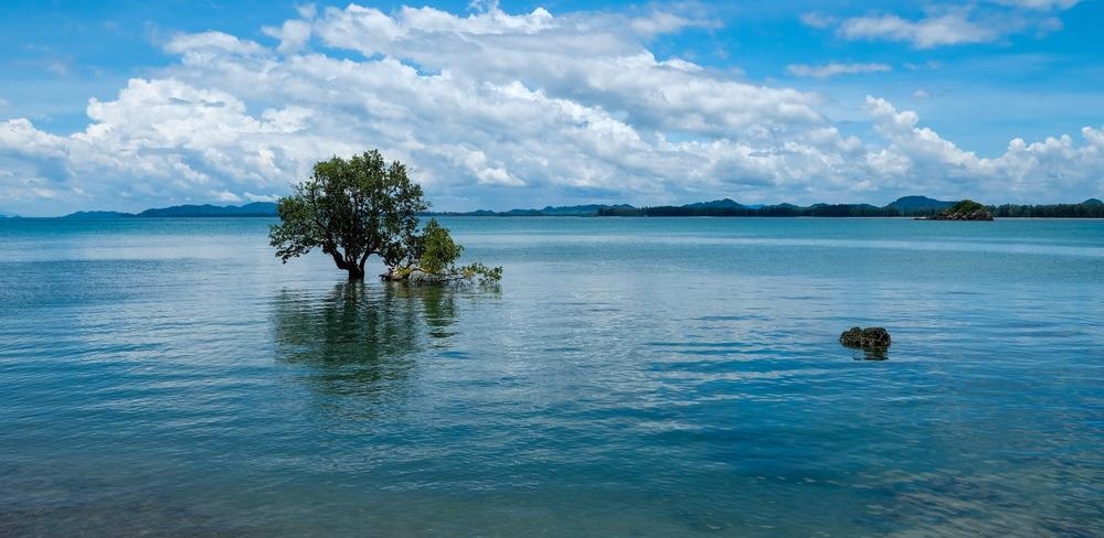 sea level, sea level rise