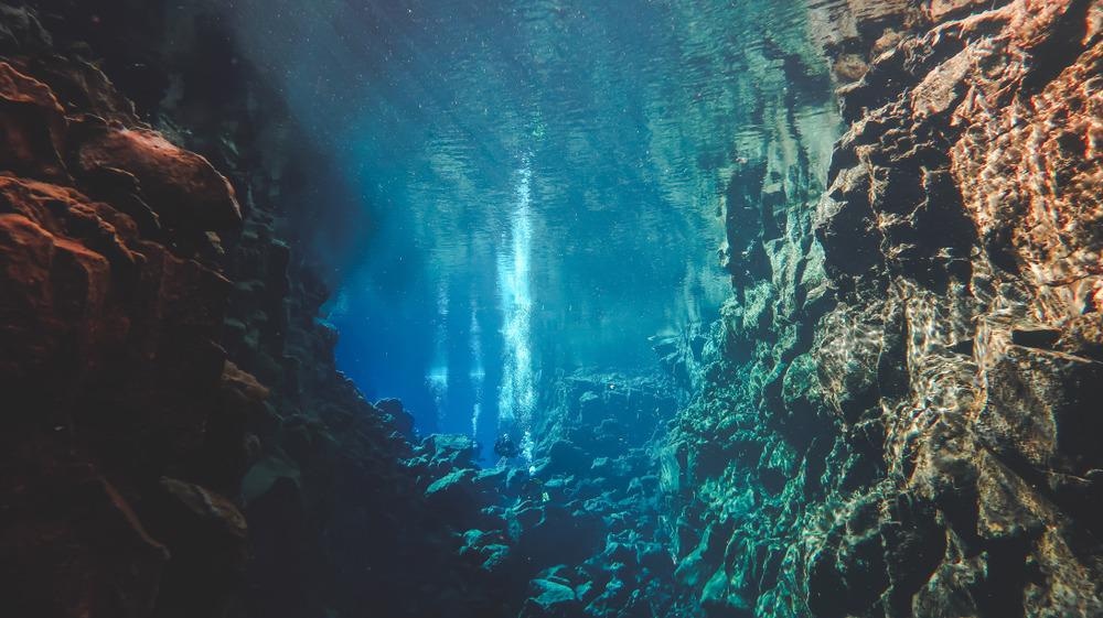 tectonic plates