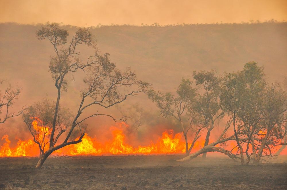 wildfires
