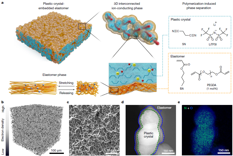 Design of plastic-crystal-embedded elastomer electrolyte. (a) Schematic illustration of the design and structure for PCEE. The structure of PCEE shows that the 3D interconnected plastic crystal phase (cyan) is surrounded by the elastomer phase (orange). The plastic crystal phase supports a fast ion-conducting pathway, whereas the elastomer phase provides superior mechanical extensibility. (b) A 3D tomography image of PCEE constructed by an X-ray microscope. c, d, SEM (c) and cross-sectional TEM (d) images of PCEE film. (e) Electron energy-loss spectroscopy elemental mapping of the TEM image in d.