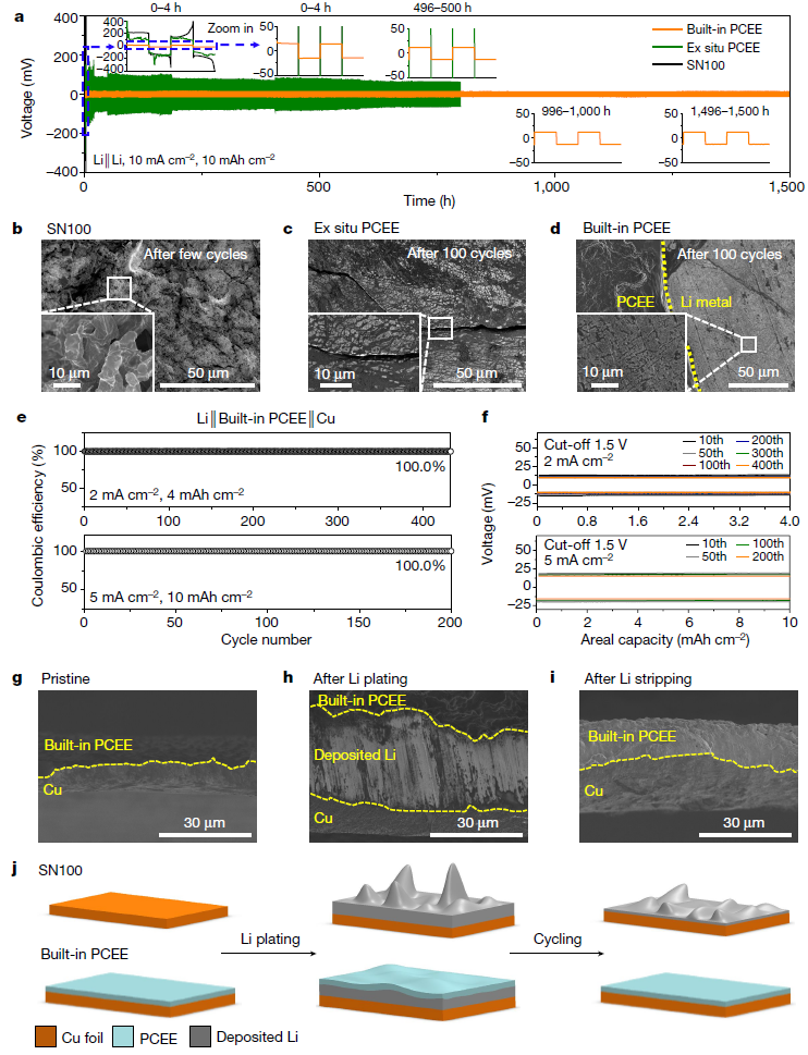 Built-in PCEE in symmetric Li and asymmetric Li||Cu cells. (a) The cycling performance of the symmetric Li cells with various electrolytes. Insets: enlarged voltage profiles for different times. (b–d) Top-view SEM images of the Li metal anodes with SN100 after cell failure (b), ex situ PCEE (c) and built-in PCEE (d) after 100 cycles at a current density of 10 mA cm-2 with a capacity of 10 mAh cm-2. Insets: magnified top-view SEM images. (e) Coulombic efficiencies for the asymmetric Li||Cu cells with the built-in PCEE at current densities of 2 mA cm-2 and 5 mA cm-2 with capacities of 4 mA cm-2 and 10 mAh cm-2, respectively. (f) Corresponding enlarged voltage profiles. (g–i) Cross-sectional SEM images of pristine (g), Li-plated (h) and Li-stripped (i) Cu electrodes assembled with the built-in PCEE. (j) Schematic illustration of Li plating and stripping with different electrolytes.
