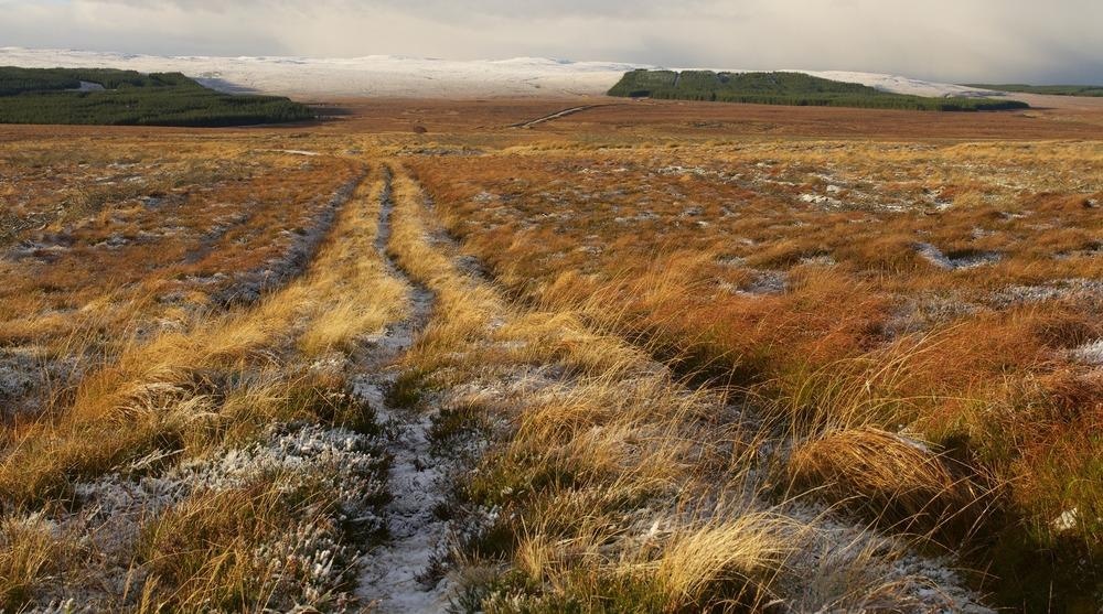 peatlands