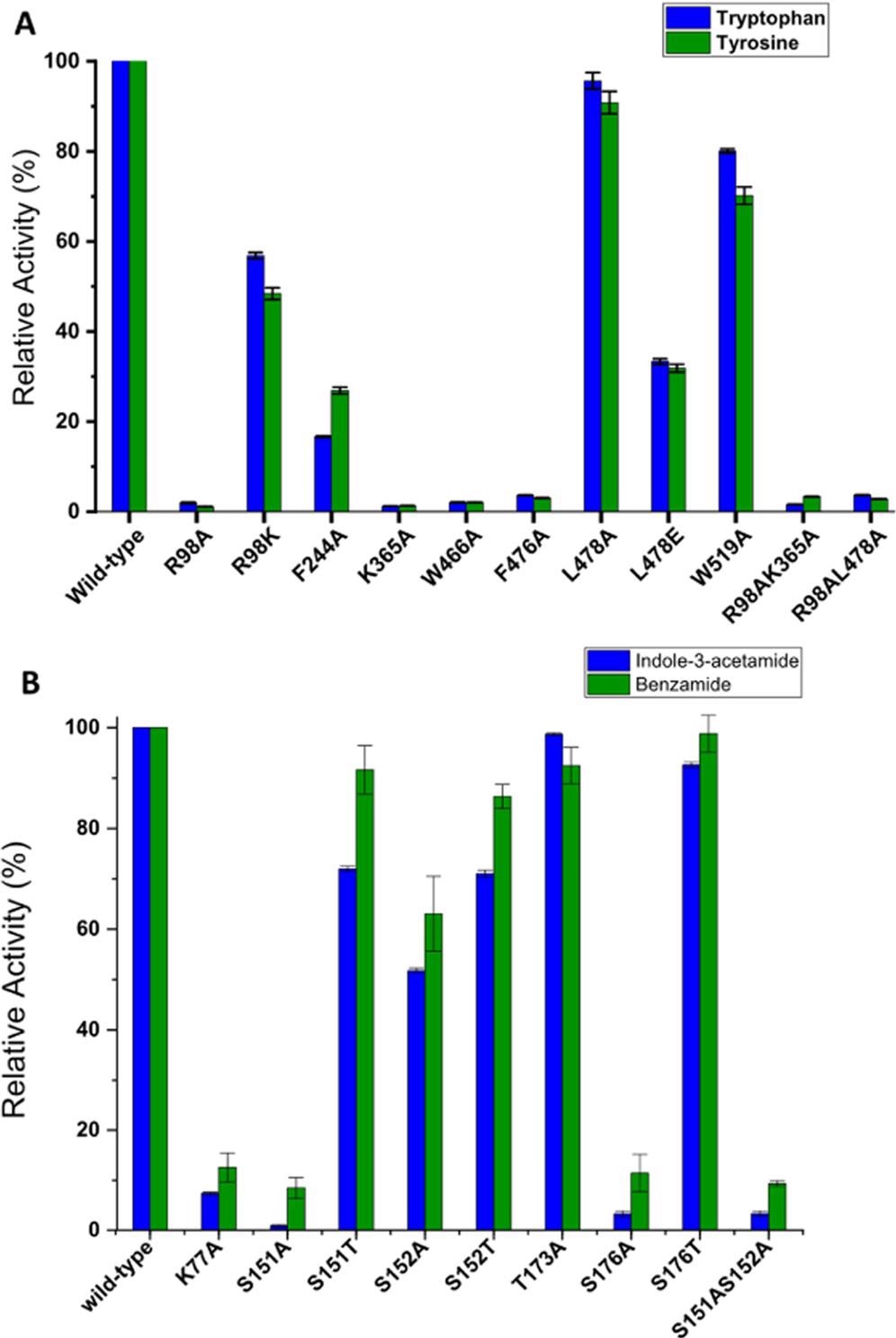 Relative activity of tryptophan-2-monooxygenase (iaaM) (A) and indole-3-acetamide hydrolase (iaaH) (B) mutant enzymes in comparison to wild-type in the presence of different substrates. The substrate conversion of wild-type enzyme is taken as 100% in all cases. The reaction was performed using purified enzymes (10 µm) by incubating them with 1 mM substrate for 30 min at 25 °C with gentle agitation (180 rpm). The total volume of reaction was 500 µL, which was prepared in a 50 mM Tris-HCl buffer solution at pH 7.8. The reaction was performed in duplicate with error bars indicating the standard deviation of the HPLC measurements.