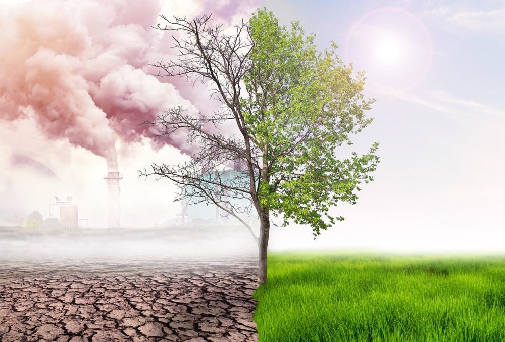 How Does Climate Change Affect Environmental Monitoring?