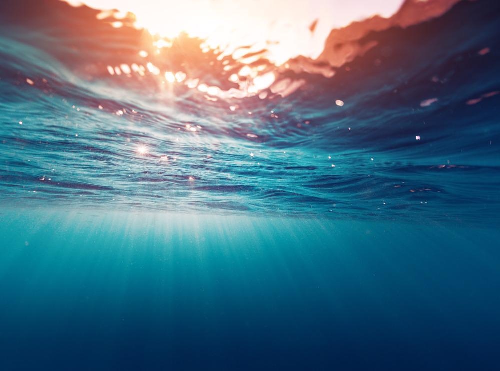 water, sunlight, electricity, bacteria