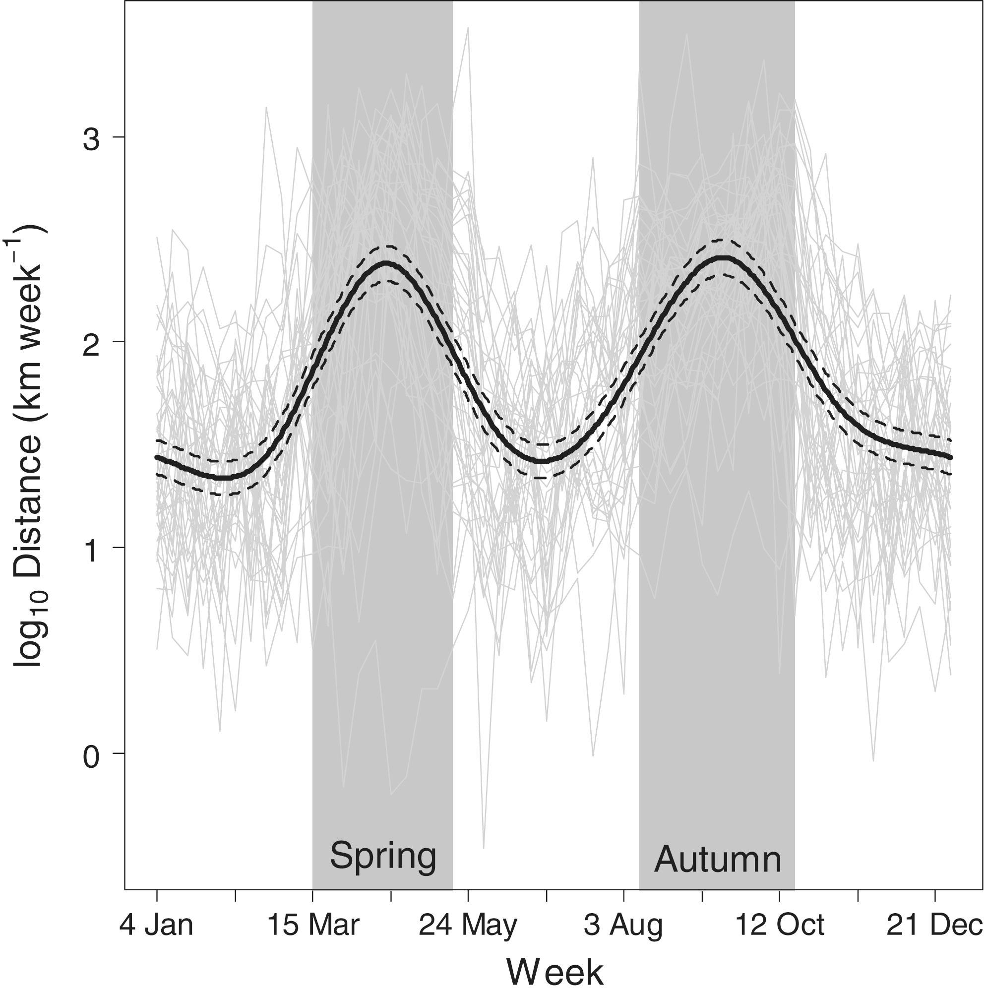 The great-circle (geodesic) distance between weekly centroids of occurrence weighted by relative abundance for 42 nocturnally migrating passerine bird species. The fitted black line and 95% confidence band are from a generalized additive mixed model (GAMM) with species included as a random effect. The vertical polygons demarcate spring migration (15 March–17 May) and autumn migration (10 August–19 October) as delineated by the inflection points in the fitted GAMM line.