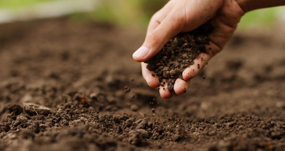soil