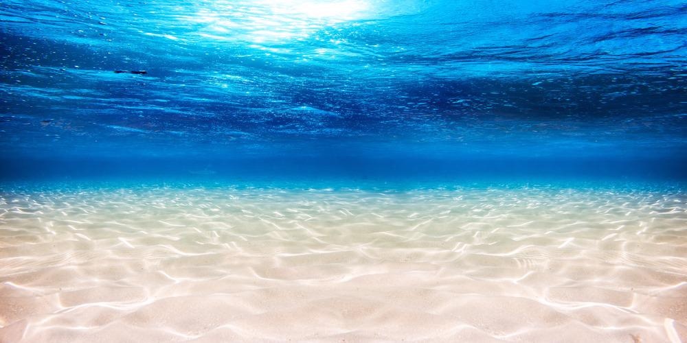 water surface, sea surface