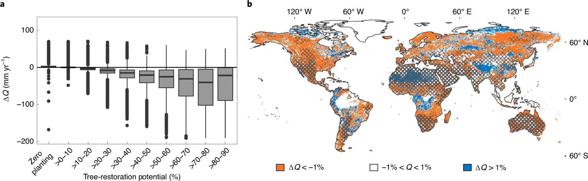 Implications of the percentage restored area and the implications for water scarcity. (a) Water availability could decrease in ‘hot spots for tree restoration’. The lower, middle, and upper boundaries of the boxes display the 25th, 50th, and 75th percentiles of the data (the interquartile range), respectively. The lines extend to a maximum of 1.5 times the interquartile range. (b) Water availability will decrease in several regions that currently face water scarcity: the color indicates whether local water availability will decrease (orange) or increase (blue) following the studied tree-restoration scenario. The cross-hatched regions currently face freshwater scarcity for at least three months per year, and the bold hatched regions face freshwater scarcity for at least nine months per year. Note that we quantified the change in water availability on an annual timescale. The sign of change could vary seasonally, and water availability could, for example, decrease every year but remain equal, or even increase, in the dry season.
