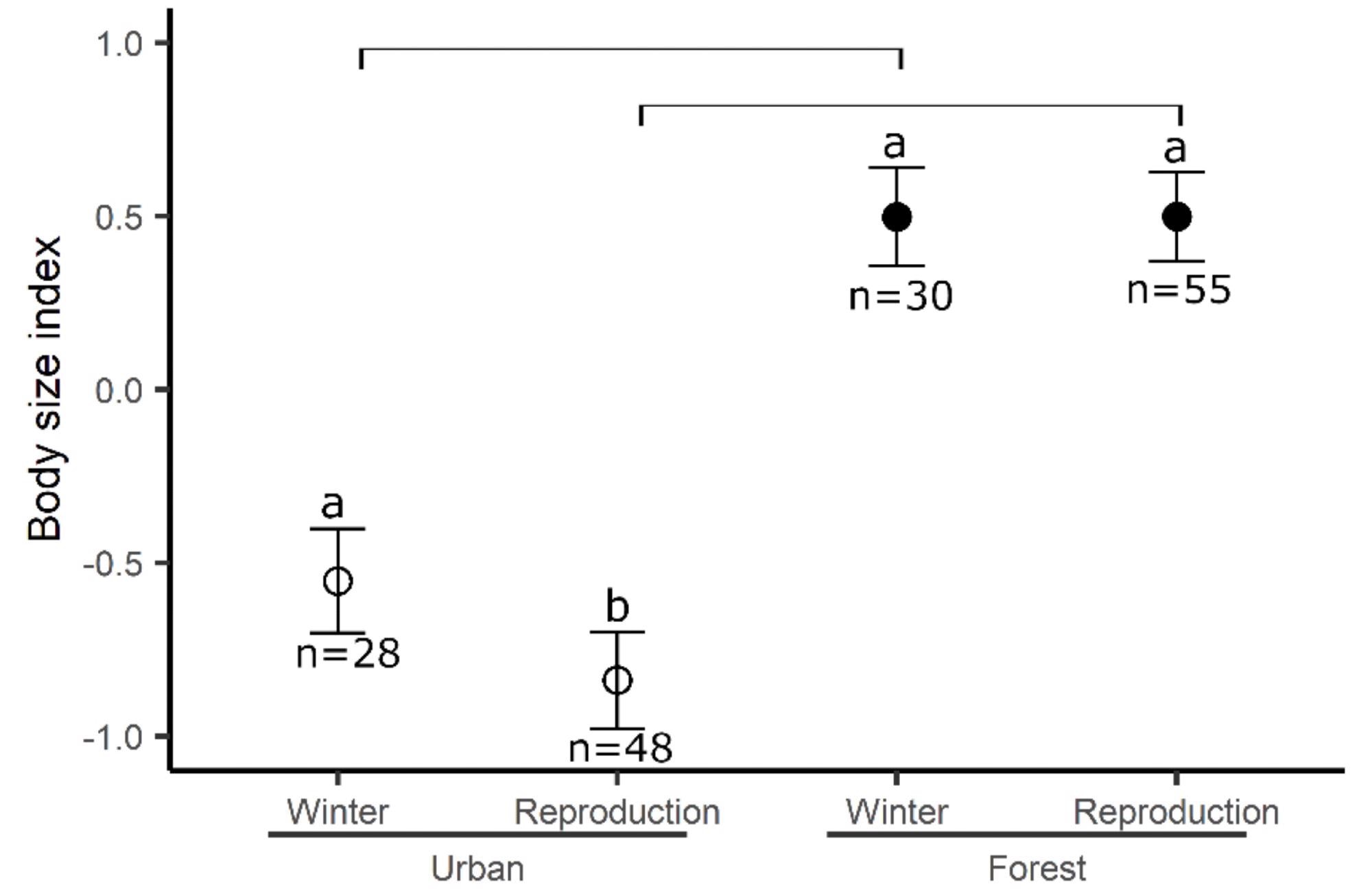 The body size of birds between sites across seasons. Means and standard errors are represented. Different letters represent significant differences between seasons for the same site and bars represent the difference between sites for the same season.