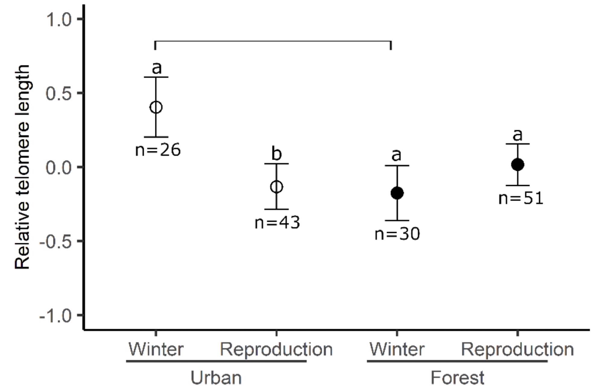 The relative telomere length of birds between sites across seasons. Means and standard errors are represented. Different letters represent significant differences between seasons for the same site and bars represent the difference between sites for the same season.