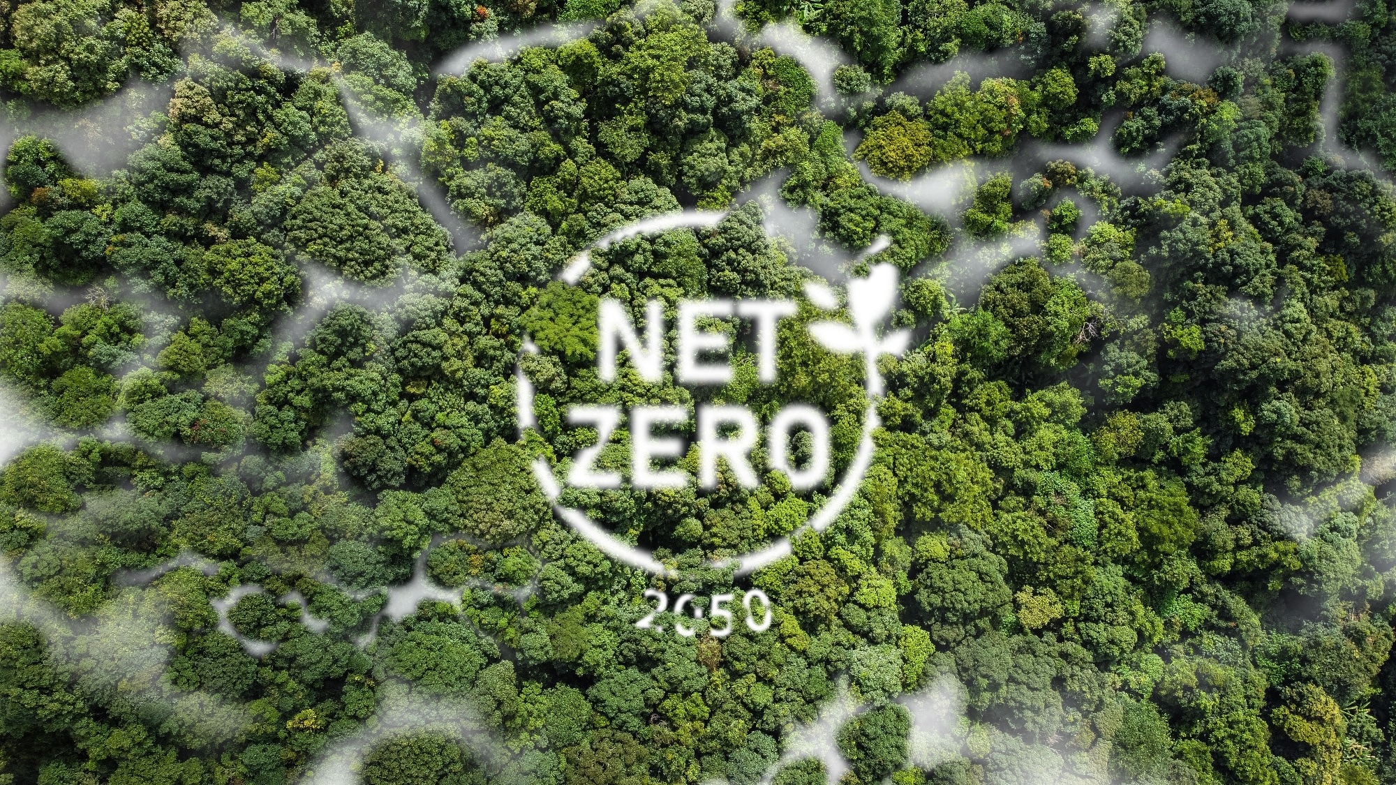 Naked Energy: Changing the Face of Energy for Good.