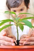 Measuring Total Organic Carbon