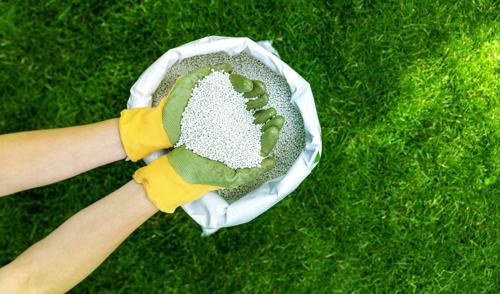 grass, sustainable fertilizer