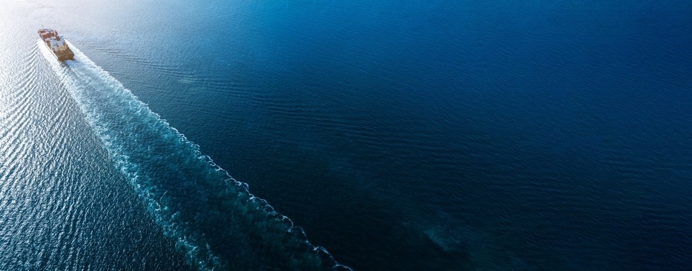 ocean, high seas treaty
