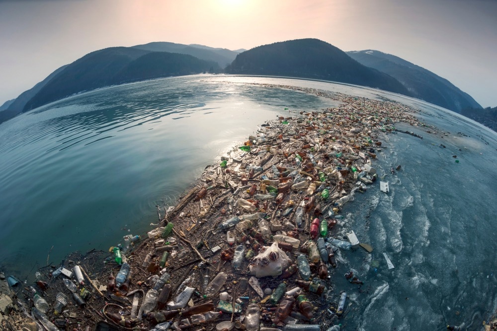 pet recycling, litter, plastic waste