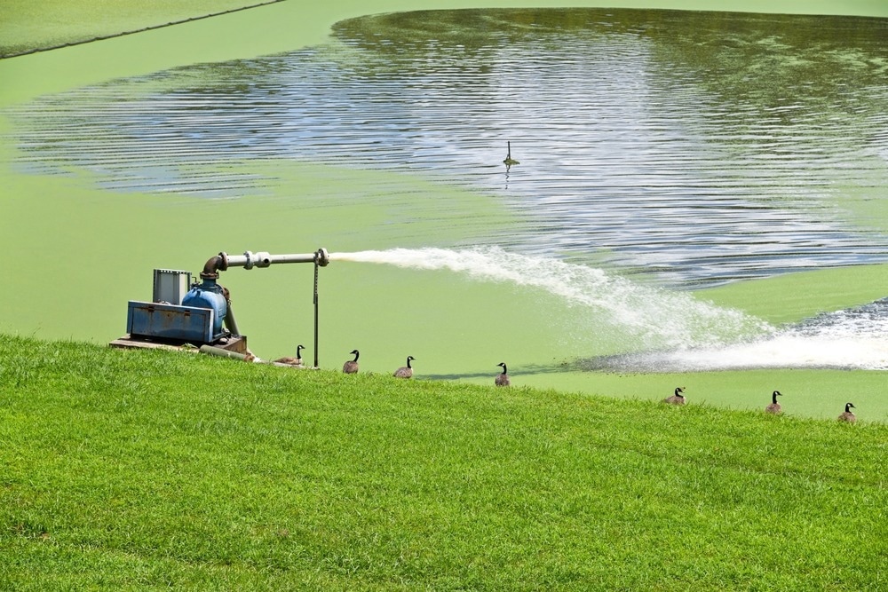 water quality management